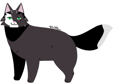 Fullbody