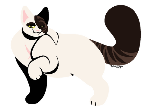 Fullbody