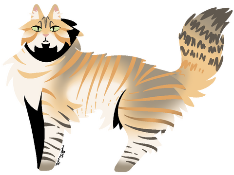 Fullbody