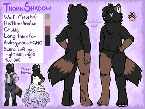 55 $ (45$ base, +5 $ for each outfit (similar angles))