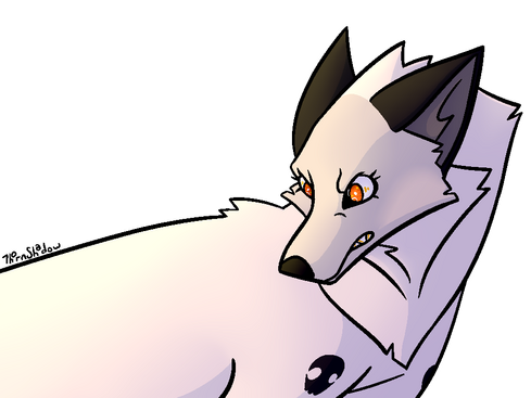 Full Shaded Halfody - 25$