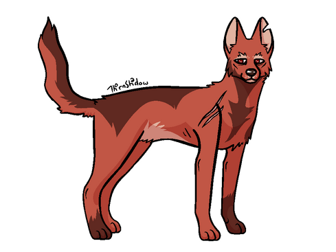 Cell Shaded Fullbody - 25$